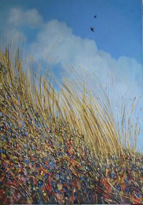 Summer in the mountains