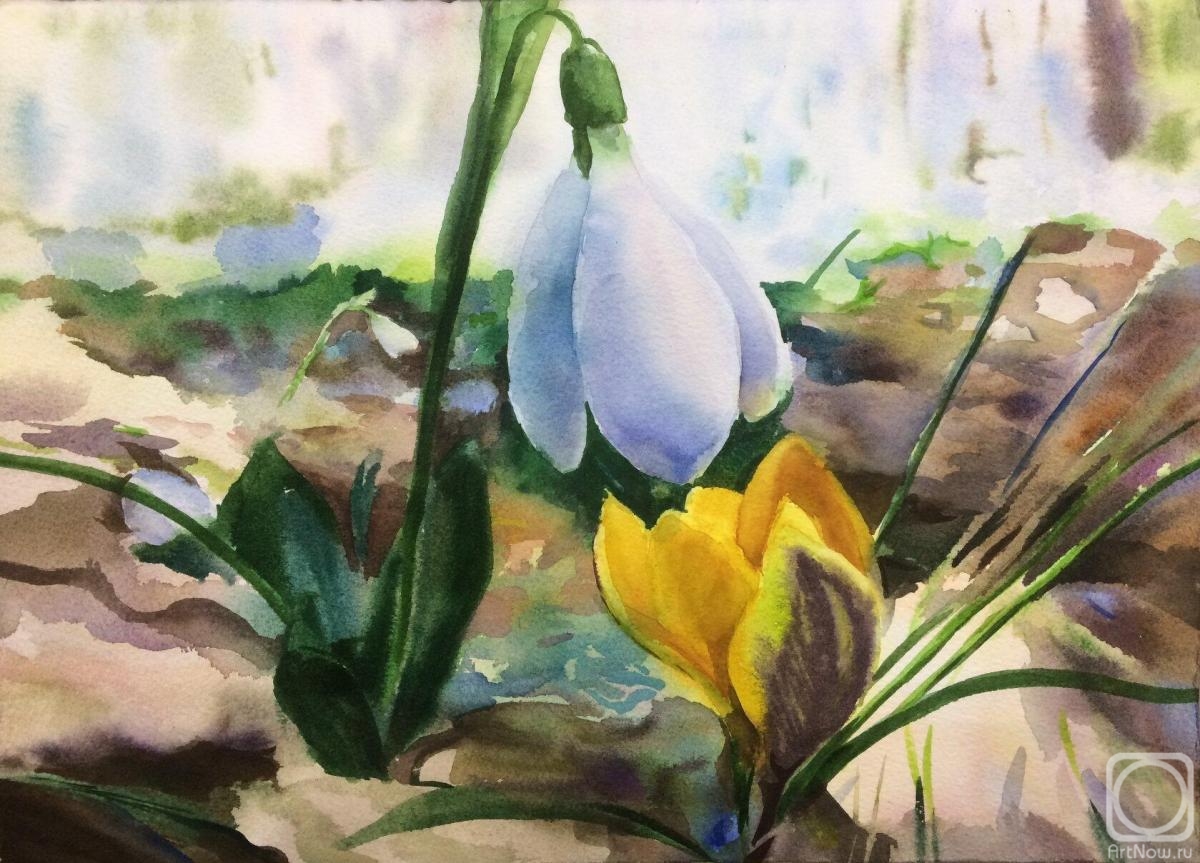 �������. ������� �������. ����������