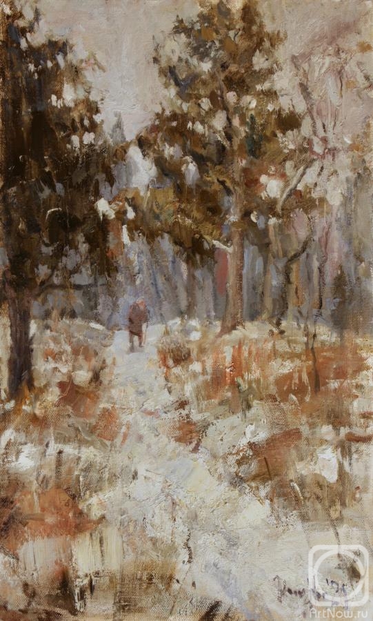 Zhmurko Anton. Path by the pines