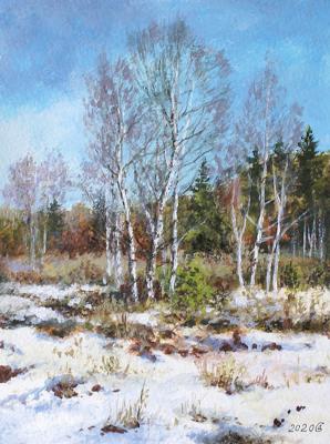 ������� ��������� ����