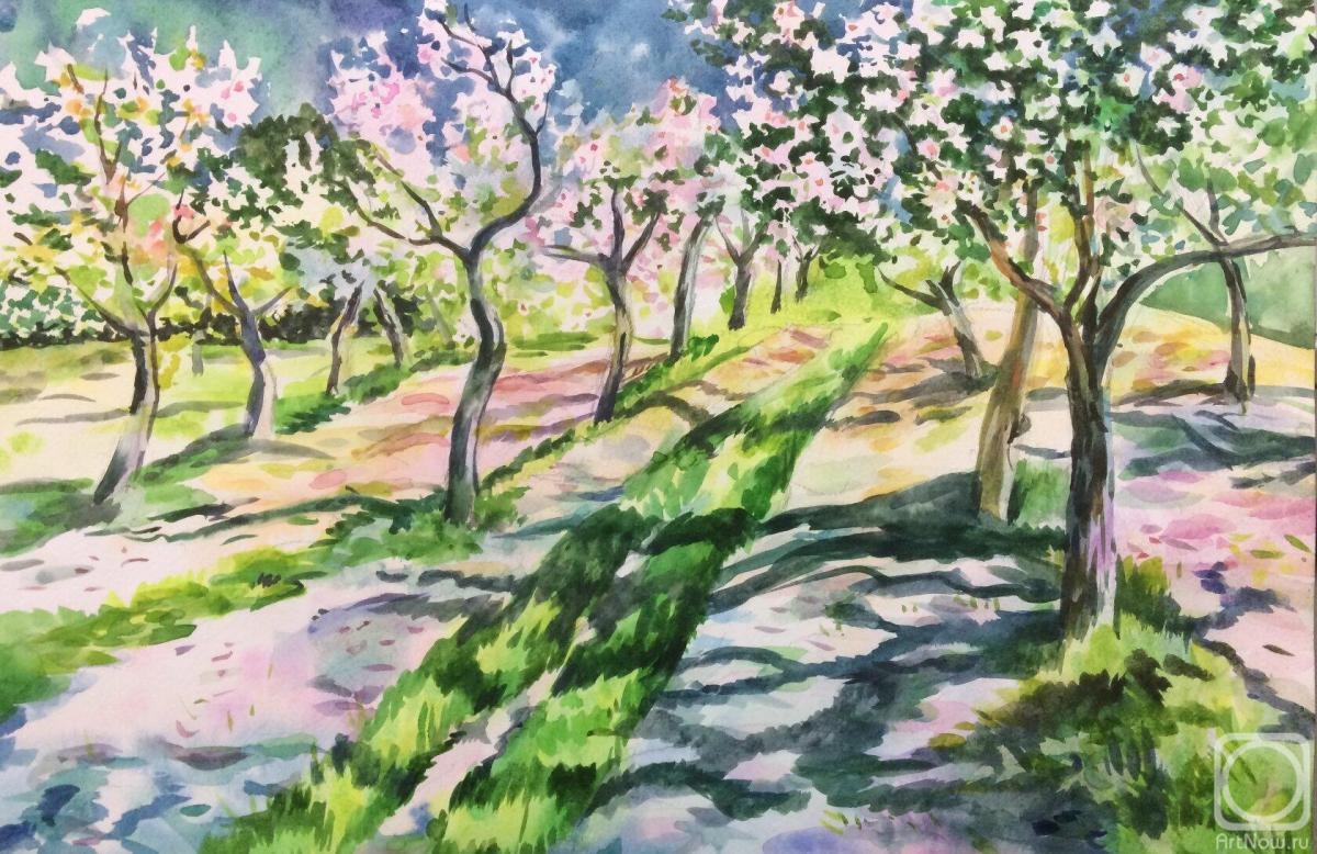 �������. ������� �������. ���� � ������������� �������