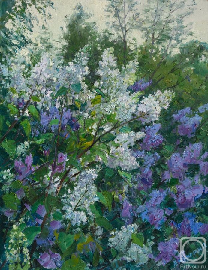 Yurgin Alexander. Lilac in garden