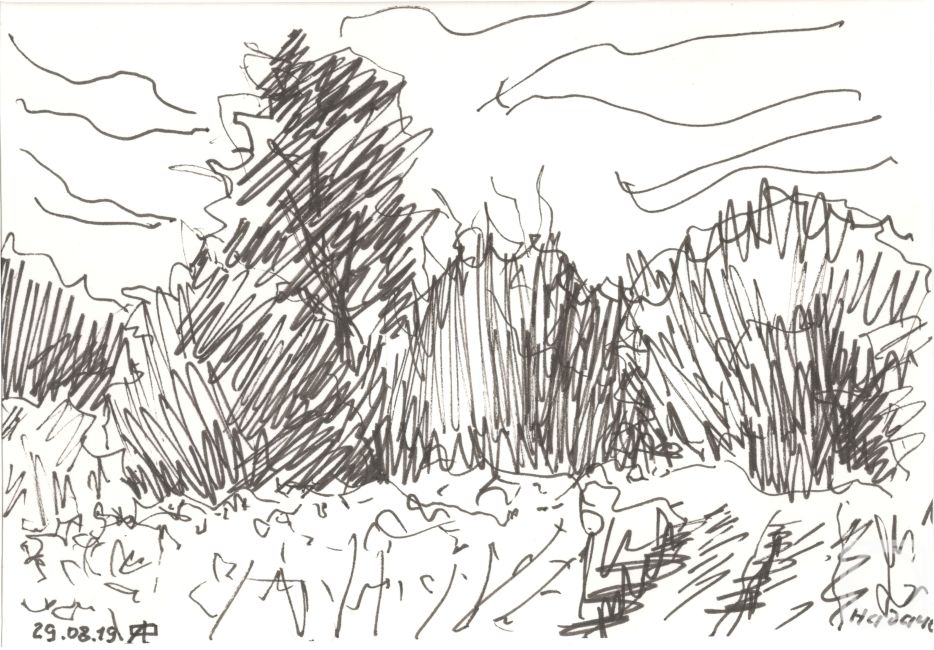 �������. ������� ���������. �� ����. ������������ ��������