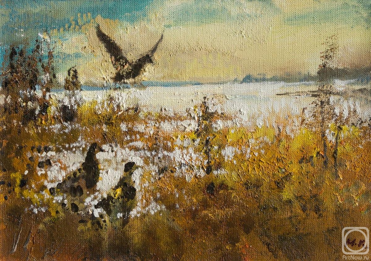Kremer Mark. On the lake, wild birds