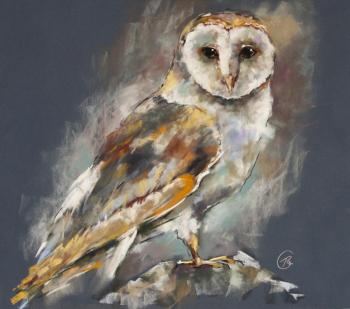 Untitled (Portrait Of An Owl). Gerdt Irina