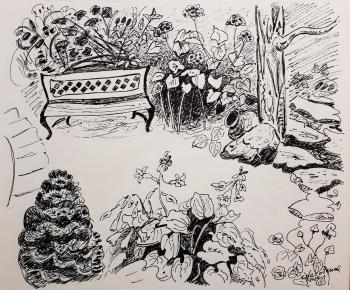 ������ "����������". ���������� �������