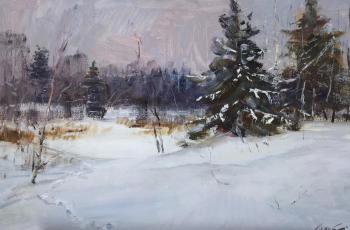 Winter silence (). Poluyan Yelena
