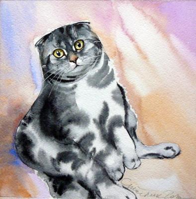 Osia (Cat Portrait To Order). Stoylik liudmila