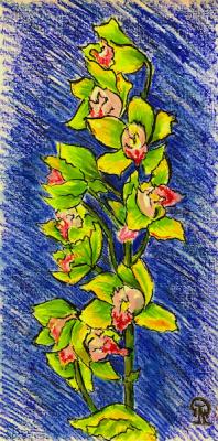 Orchid with Green Flowers ( ). Lukaneva Larissa
