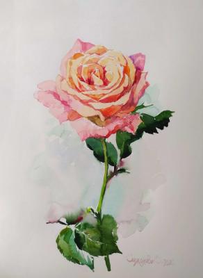 Rose (In The Style Of Provence). Simonova Olga