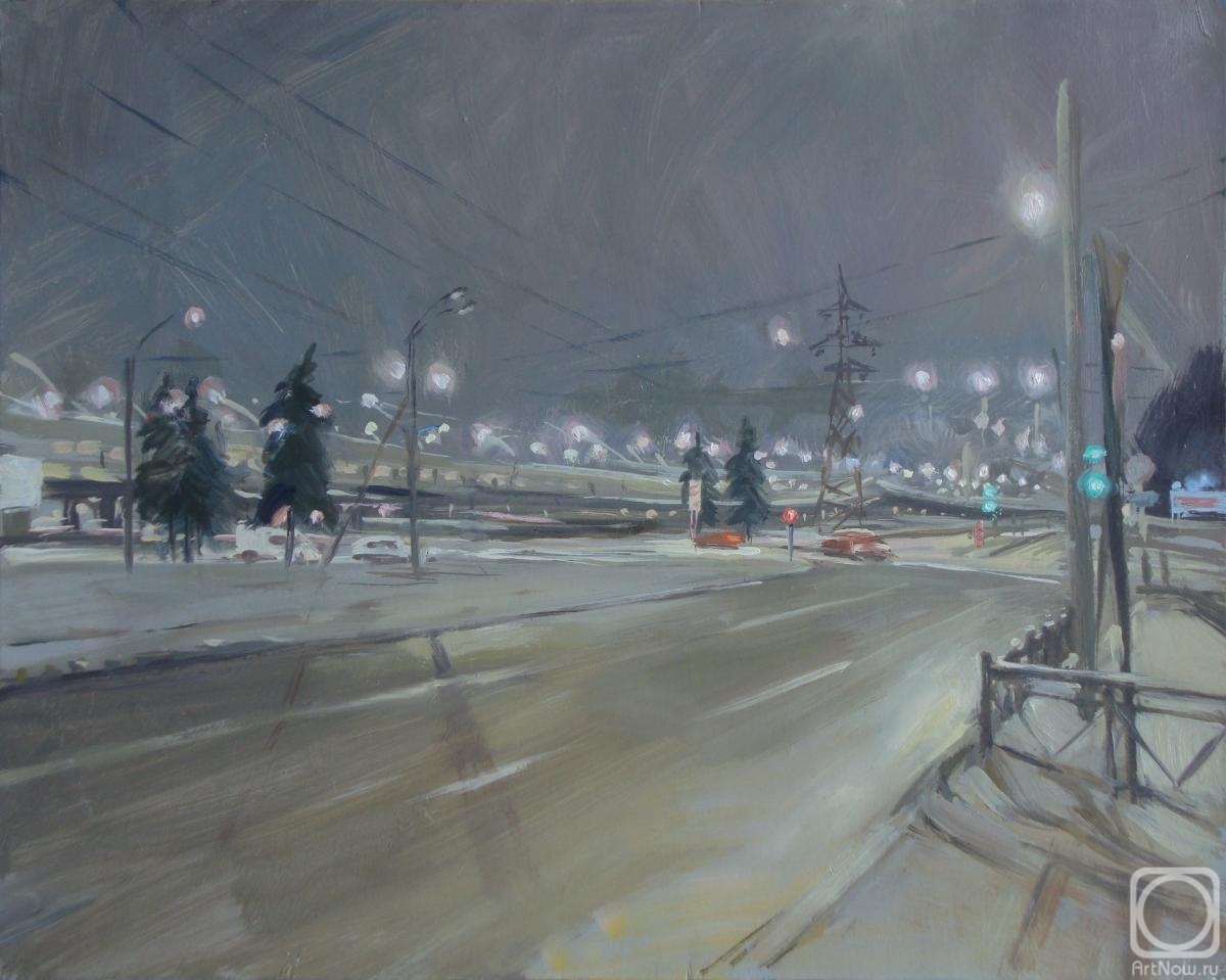 Miroshnikov Dmitriy. Winter night in St. Petersburg