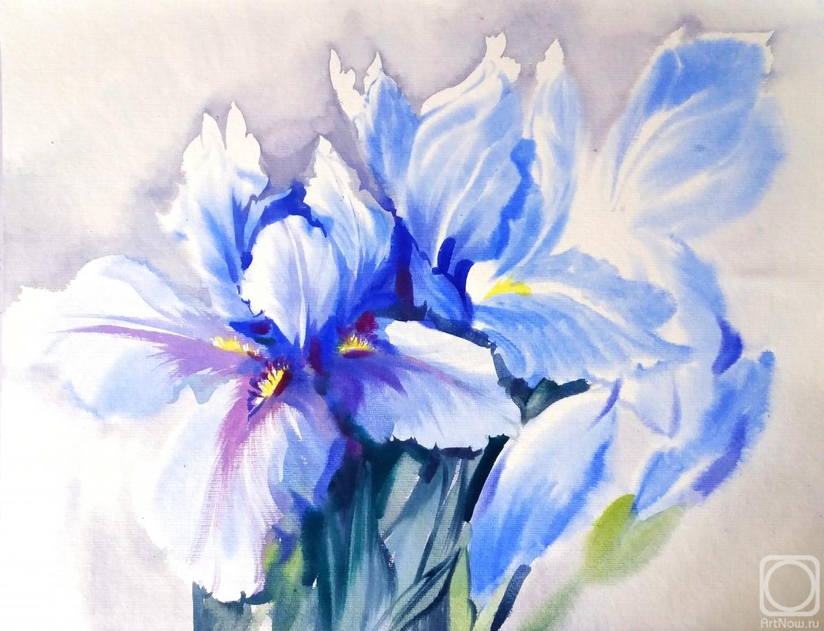 Mikhalskaya Katya. Irises the color of the water