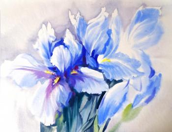 Irises the color of the water. Mikhalskaya Katya