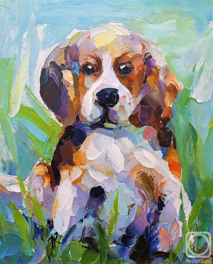 ������� ������ �� ������. �������� ����. �����. ��������� �������