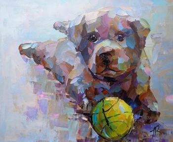 Labrador. Let's play? (Puppy Of A Labrador). Rodries Jose