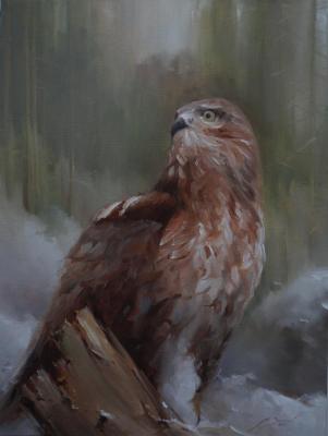 The Hawk. Zaitsev Aleksandr