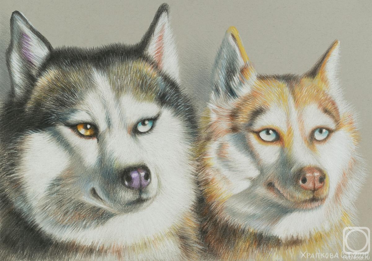 �������. �������� ��������. �����