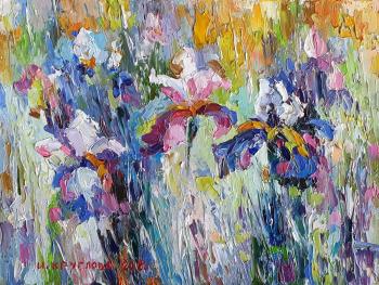 Irises in the field. Kruglova Irina