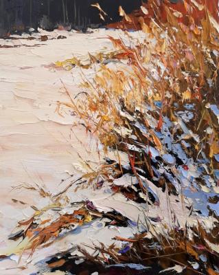 Grass and snow. Golovchenko Alexey
