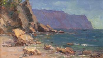 Wild beach. Poluyan Yelena