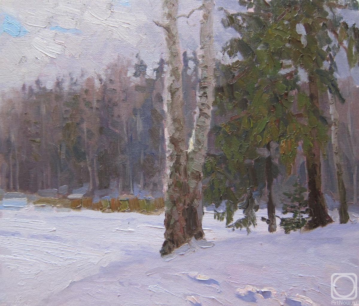 Chertov Sergey. Forest Lake. Winter (etude)
