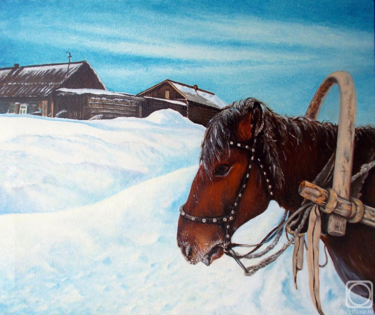 Abaimov Vladimir. Horse Portrait