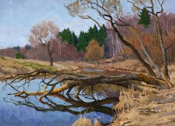 Fallen tree ( ). Panteleev Sergey