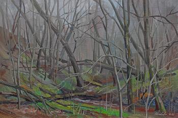 Forest stream (). Zhlabovich Anatoly