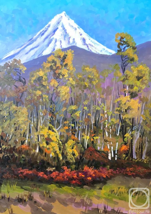 Stepanov Pavel. Kamchatka forest. Koryak volcano