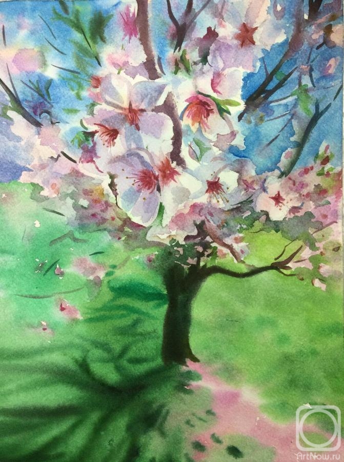 �������. ������� �������. �������� ��������