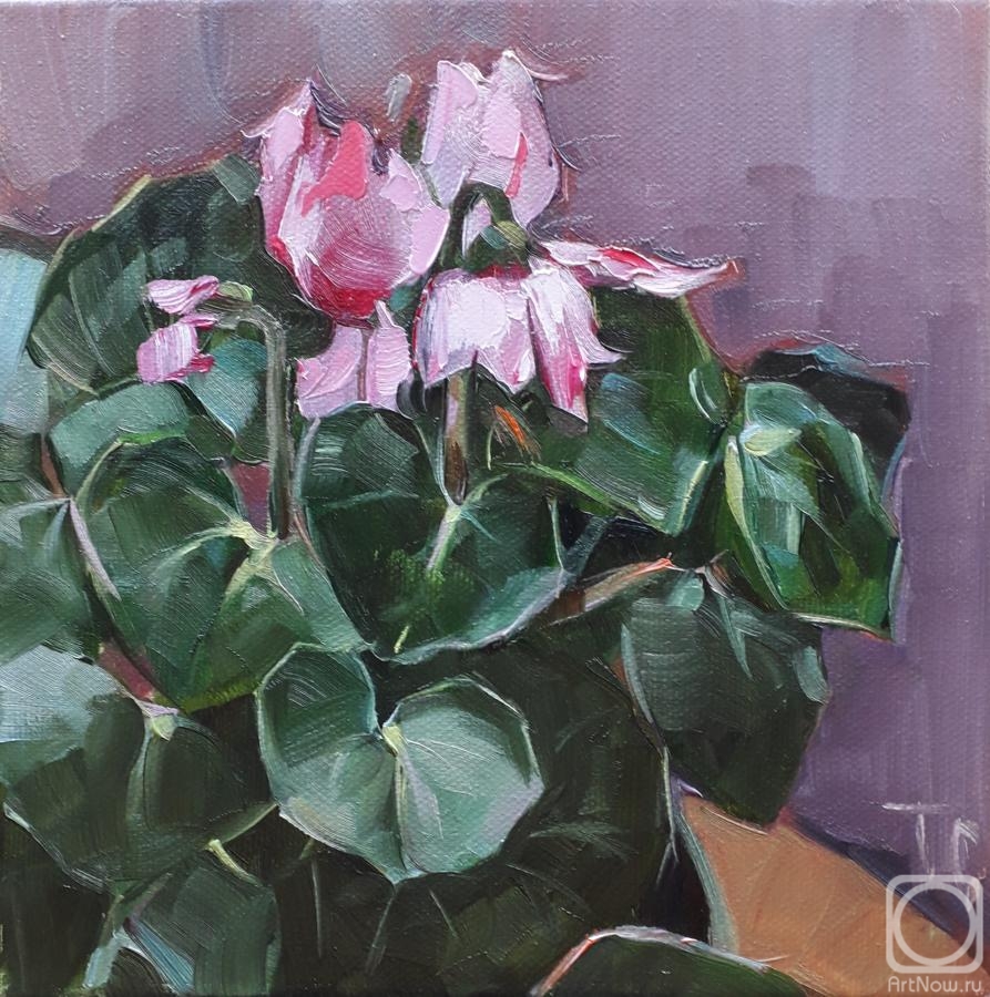 ������� ������ �� ������. ������ �������. ��������