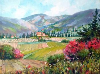 Fields of Provence. Trunov Dmitriy