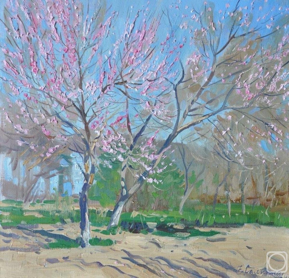 Sayapina Elena. Peach Trees in Blossom