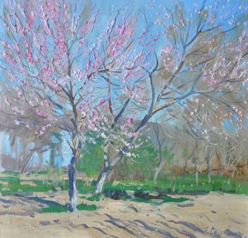 Peach Trees in Blossom. Sayapina Elena