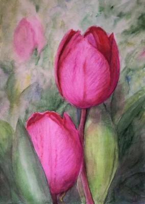 Tulips. Fomina Lyudmila