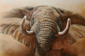Elephant. Litvinov Andrew