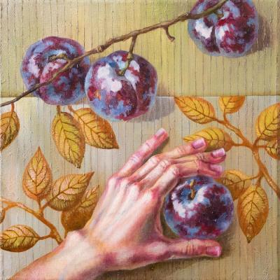 Four plums. Meltsaeva Mariia
