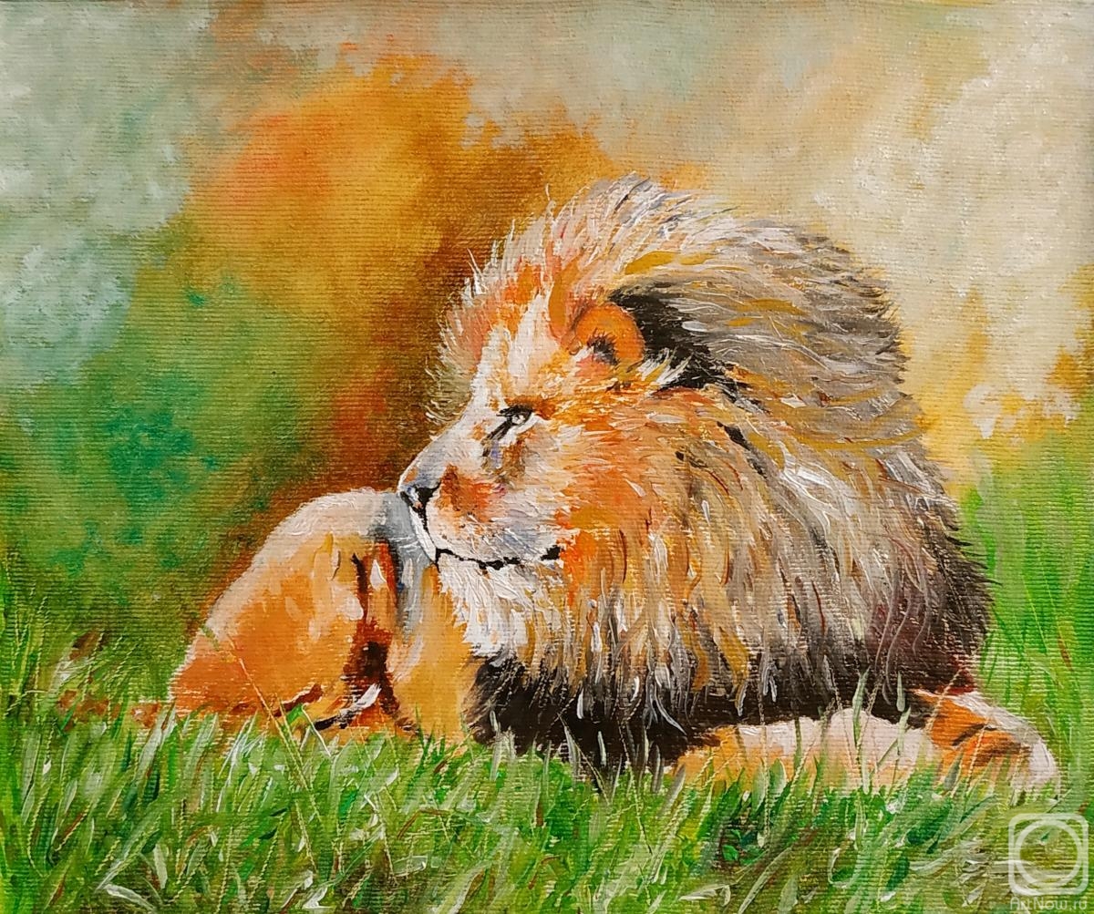 Litvinov Andrew. Lion