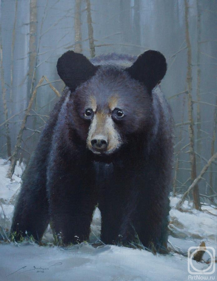 Zaitsev Aleksandr. Bear