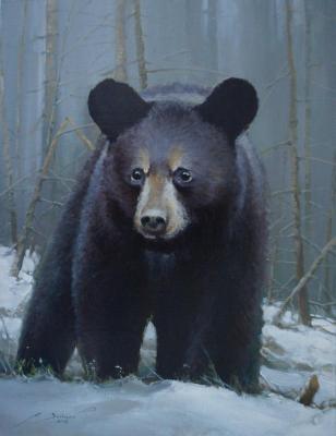 Bear. Zaitsev Aleksandr
