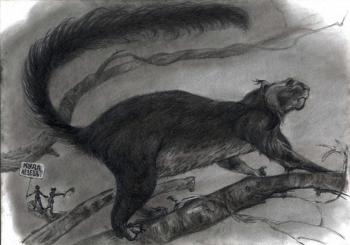 ������� ����� �������