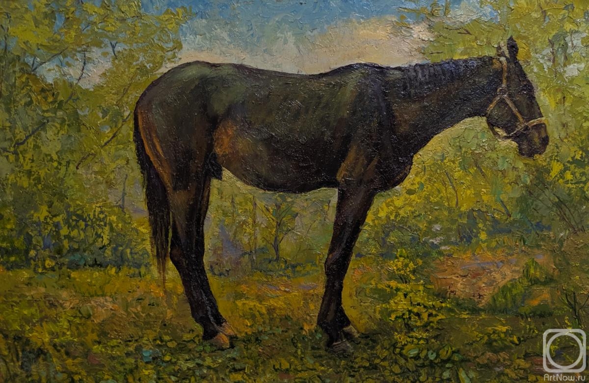 ������� ������ �� ������. ������ �����. �� ������