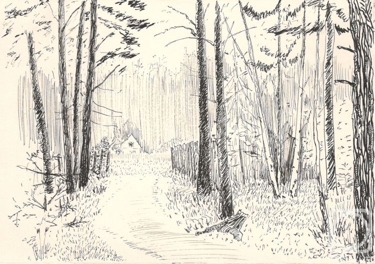 �������. ������� ���������. ������. �������� �� ����