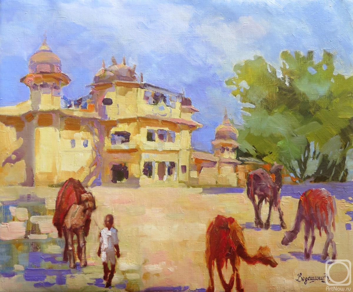 Vedeshina Zinaida. India. Jaipur. Camel Parking lot "Hey, let's ride!"
