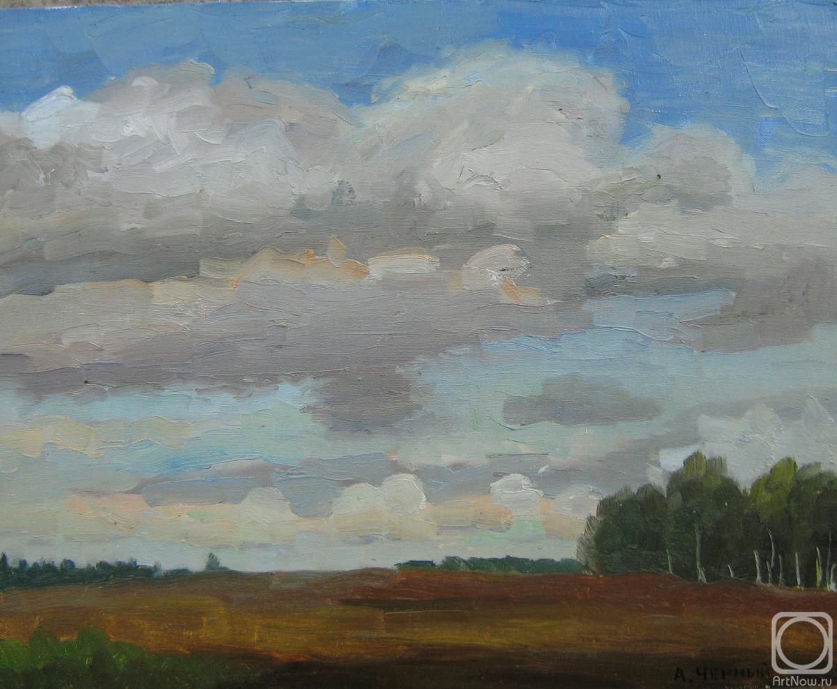 Chernyy Alexandr. The clouds. August