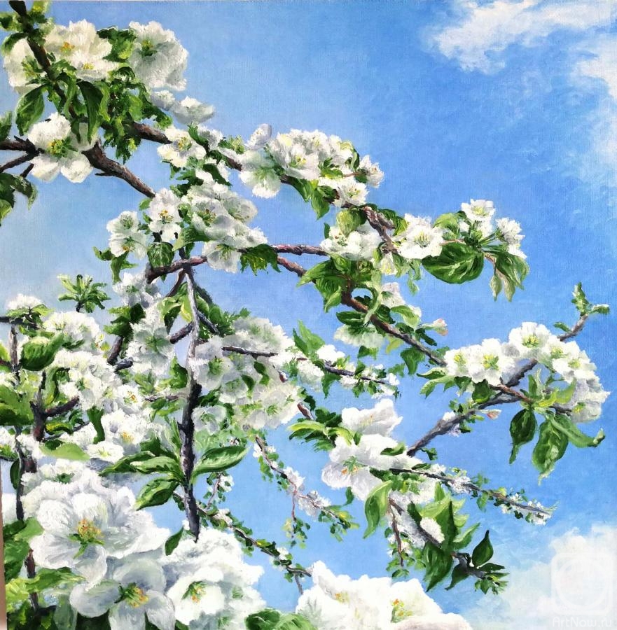 Naumova Daria. Apple blossoms