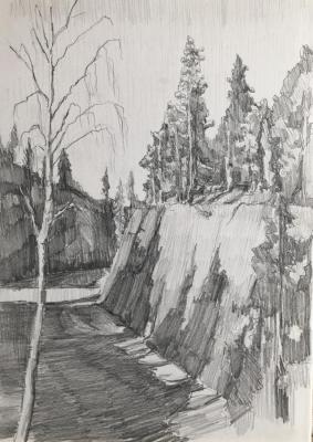Karelian landscape (Trees Pencil). Chistiakov Vsevolod