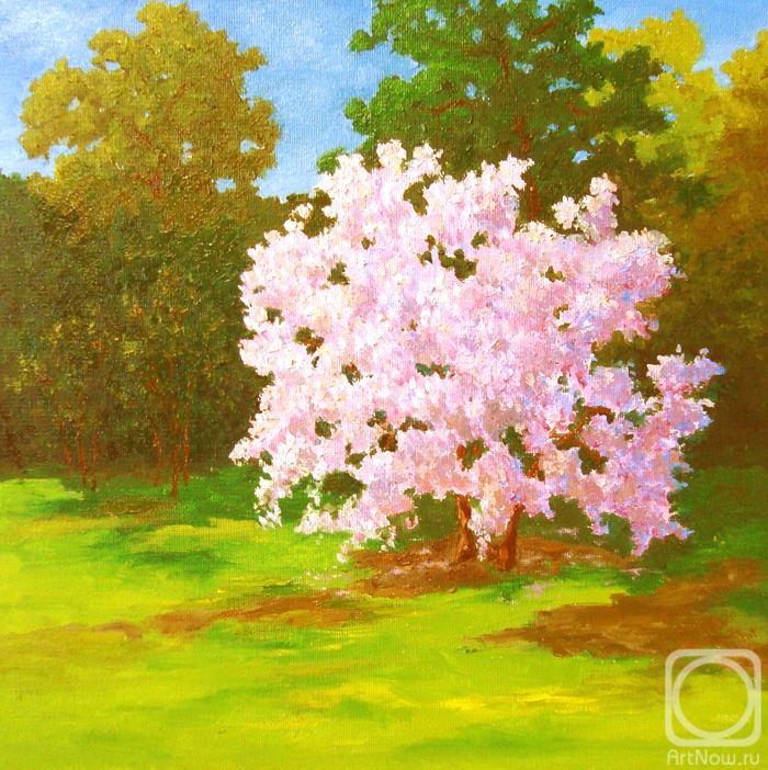 Sidorova Marina. Pink cloud