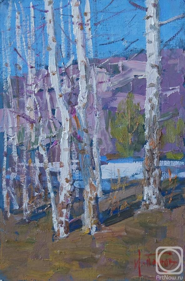 Panov Igor. Spring day