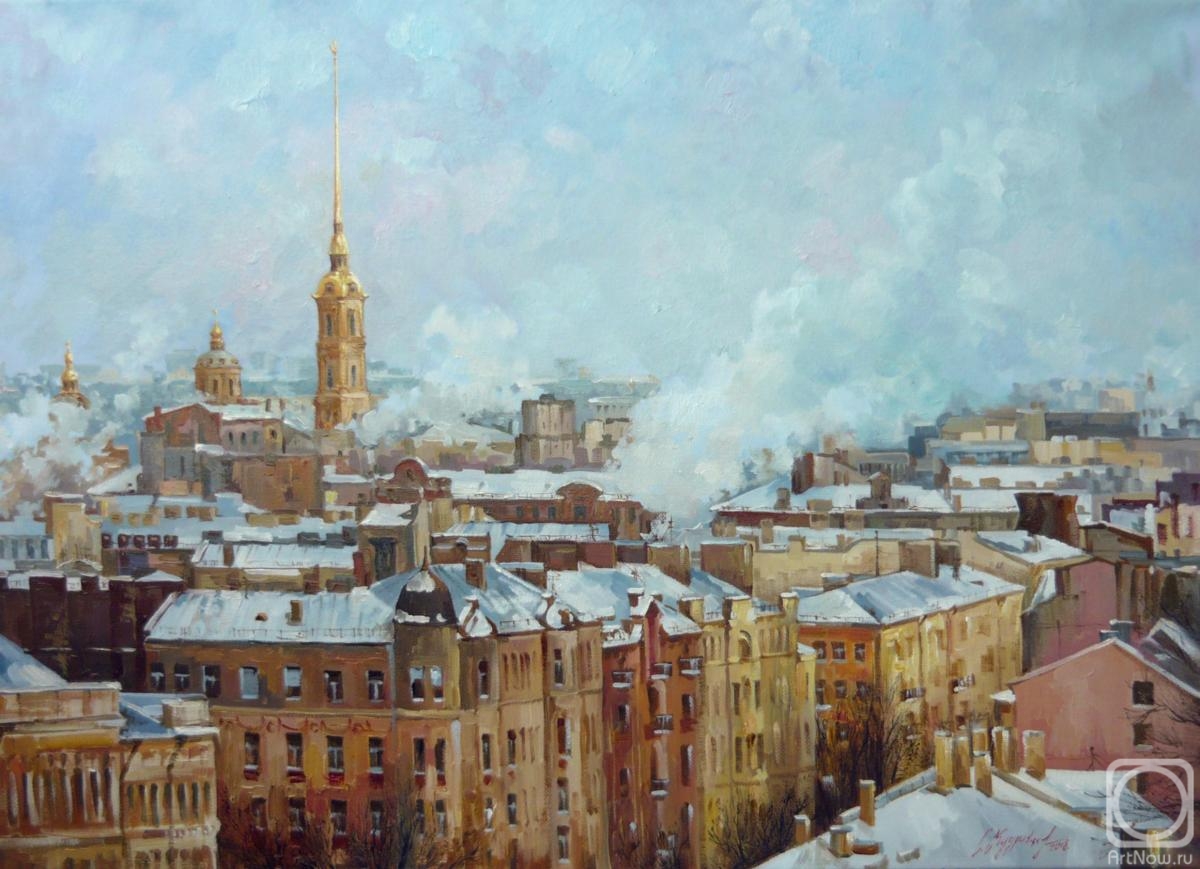 Trunov Dmitriy. Roofs of St. Petersburg